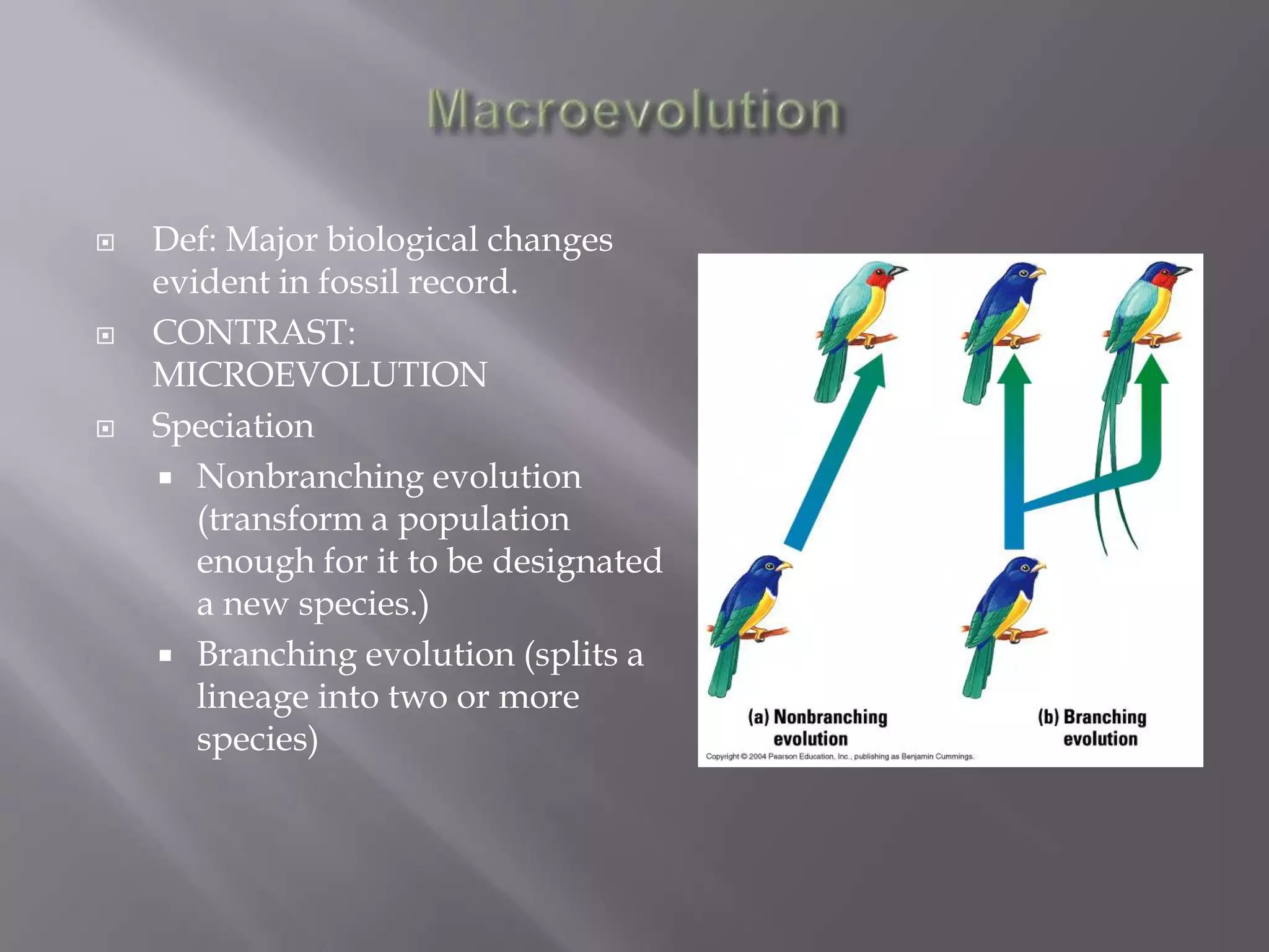    Def: Major biological changes
    evident in fossil record.
   CONTRAST:
    MICROEVOLUTION
   Speciation
     Nonbranching evolution
       (transform a population
       enough for it to be designated
       a new species.)
     Branching evolution (splits a
       lineage into two or more
       species)
 