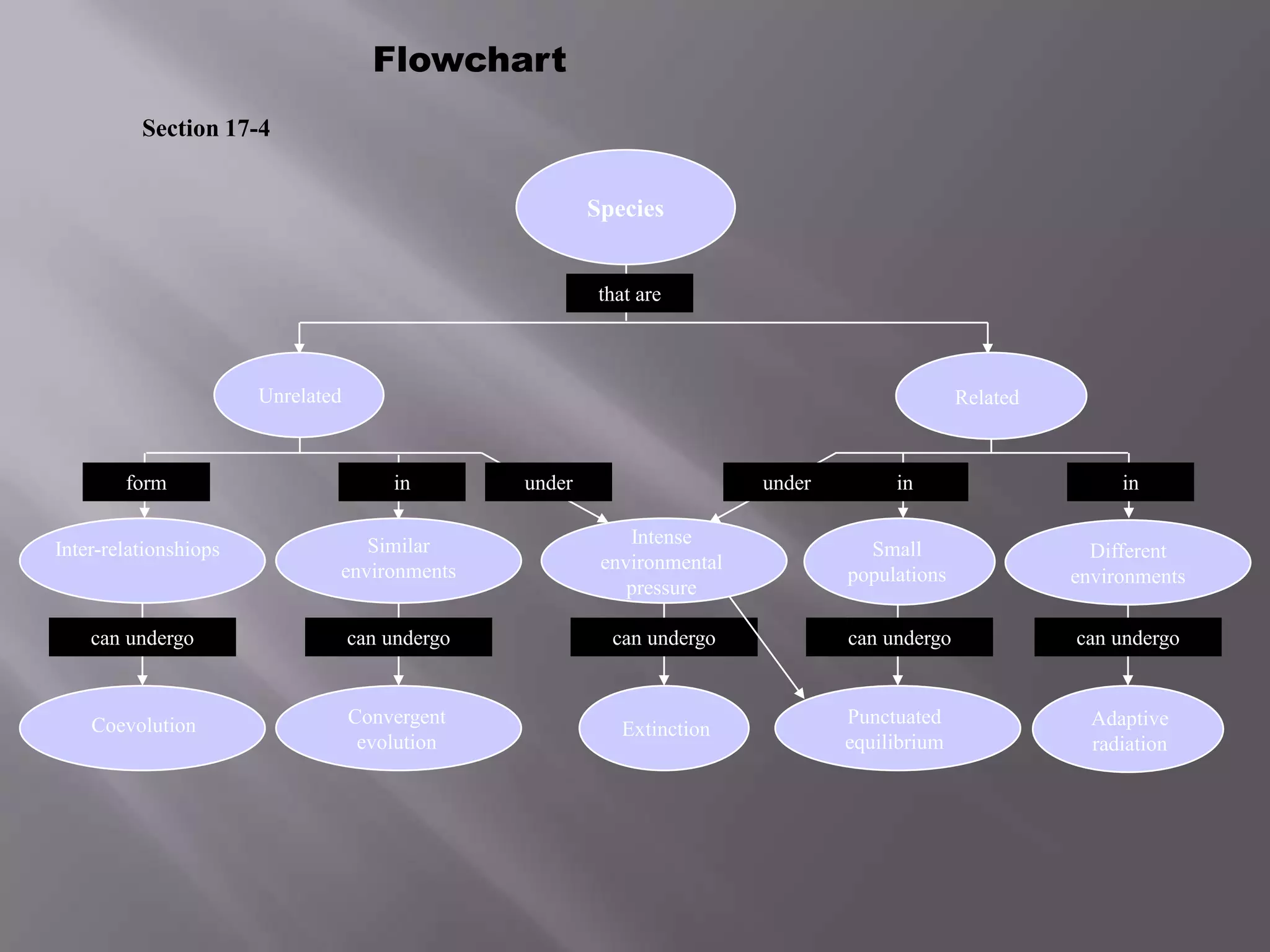 Flowchart
          Section 17-4


                                                         Species


                                                          that are



                       Unrelated                                                                Related



        form                           in        under                    under        in                      in

                                  Similar                    Intense
Inter-relationshiops                                                                Small                   Different
                               environments               environmental
                                                                                  populations             environments
                                                             pressure

    can undergo                    can undergo             can undergo            can undergo             can undergo



    Coevolution                    Convergent                                     Punctuated                Adaptive
                                                            Extinction
                                    evolution                                     equilibrium               radiation
 