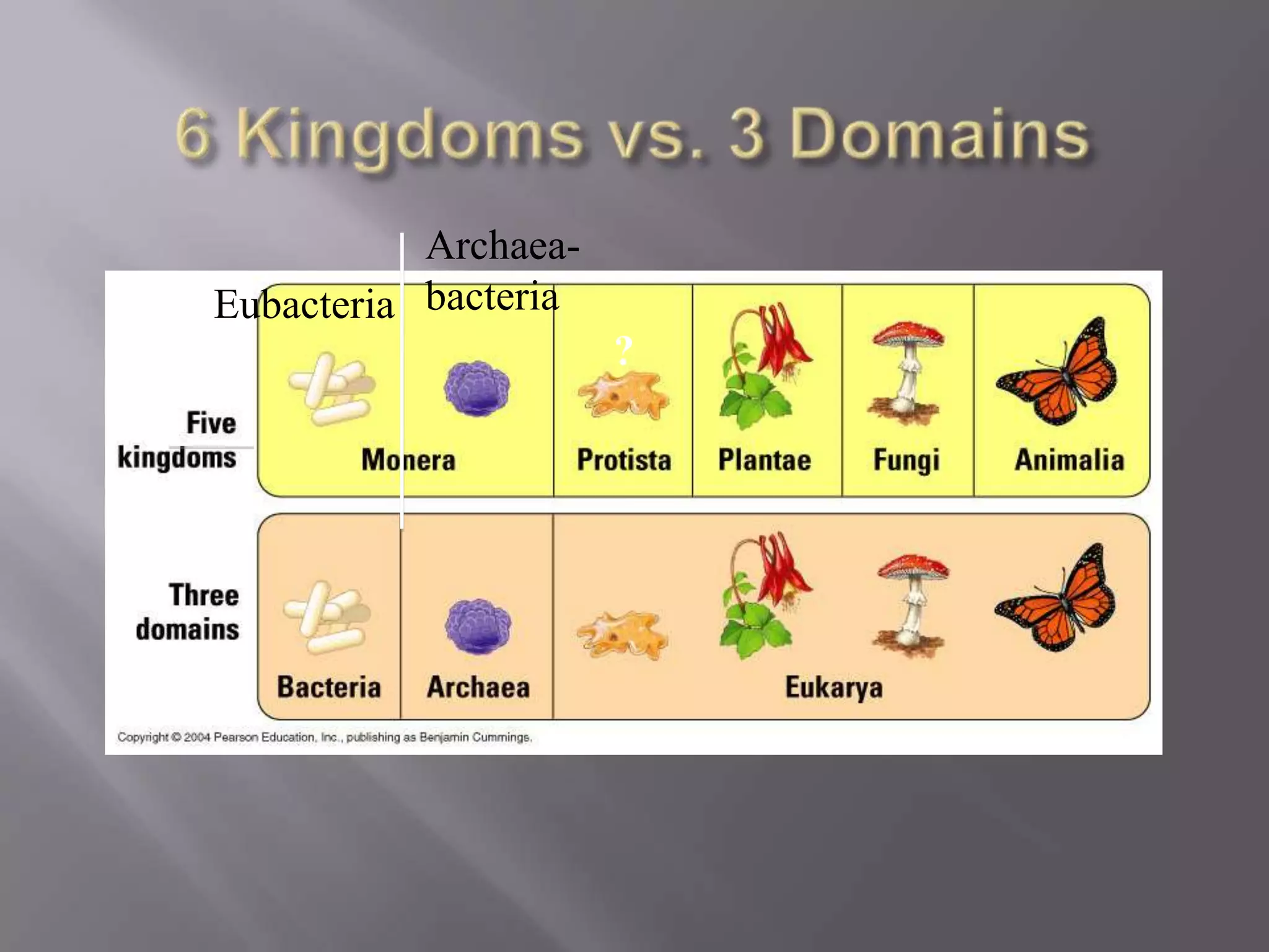 Archaea-
Eubacteria bacteria
                      ?
 