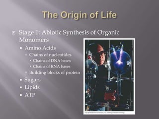    Stage 1: Abiotic Synthesis of Organic
    Monomers
       Amino Acids
         Chains of nucleotides
           Chains of DNA bases
           Chains of RNA bases
         Building blocks of protein
     Sugars
     Lipids
     ATP
 