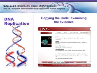 DNA Replication Outcome 2-04  Describe the process of DNA replication.  Include: template, semi-conservative replication, role of enzymes  Copying the Code: examining the evidence 