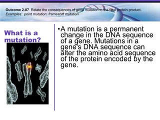 What is a mutation? A mutation is a permanent change in the DNA sequence of a gene. Mutations in a gene's DNA sequence can alter the amino acid sequence of the protein encoded by the gene.  Outcome 2-07  Relate the consequences of gene mutation to the final protein product. Examples:  point mutation, frameshift mutation 