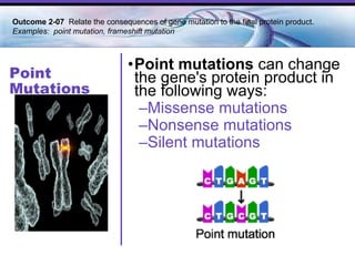 Point Mutations Point mutations  can change the gene's protein product in the following ways:  Missense mutations   Nonsense mutations   Silent mutations Outcome 2-07  Relate the consequences of gene mutation to the final protein product. Examples:  point mutation, frameshift mutation 
