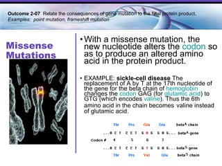 Missense Mutations With a missense mutation, the new nucleotide alters the  codon  so as to produce an altered amino acid in the protein product. EXAMPLE:  sickle-cell disease  The replacement of A by T at the 17th nucleotide of the gene for the beta chain of  hemoglobin  changes the  codon  GAG (for  glutamic  acid ) to GTG (which encodes  valine ). Thus the 6th amino acid in the chain becomes   valine instead of glutamic acid.  Outcome 2-07  Relate the consequences of gene mutation to the final protein product. Examples:  point mutation, frameshift mutation 
