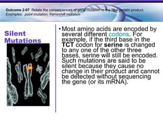 Silent Mutations Most amino acids are encoded by several different  codons . For example, if the third base in the  TCT  codon for  serine  is changed to any one of the other three bases, serine will still be encoded. Such mutations are said to be silent because they cause no change in their product and cannot be detected without sequencing the gene (or its mRNA). Outcome 2-07  Relate the consequences of gene mutation to the final protein product. Examples:  point mutation, frameshift mutation 