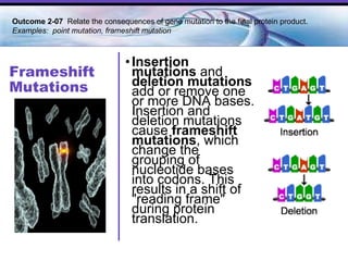 Frameshift Mutations Insertion mutations  and  deletion mutations  add or remove one or more DNA bases. Insertion and deletion mutations cause  frameshift mutations , which change the grouping of nucleotide bases into codons. This results in a shift of "reading frame" during protein translation. Outcome 2-07  Relate the consequences of gene mutation to the final protein product. Examples:  point mutation, frameshift mutation 