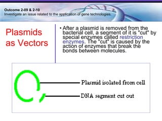 After a plasmid is removed from the bacterial cell, a segment of it is "cut" by special enzymes called  restriction enzymes . The "cut" is caused by the action of enzymes that break the bonds between molecules.  Outcome 2-09 & 2-10  Investigate an issue related to the application of gene technologies. Plasmids as Vectors 