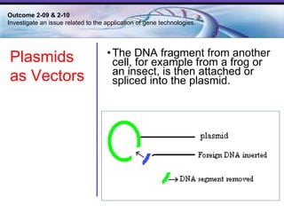 The DNA fragment from another cell, for example from a frog or an insect, is then attached or spliced into the plasmid.  Outcome 2-09 & 2-10  Investigate an issue related to the application of gene technologies. Plasmids as Vectors 