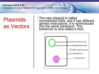 The new plasmid is called recombinant DNA, and it has different genetic instructions. It is reintroduced into the same bacterium. This bacterium is now called a host.  Outcome 2-09 & 2-10  Investigate an issue related to the application of gene technologies. Plasmids as Vectors 