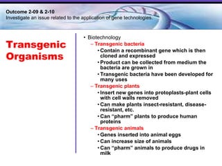 Biotechnology Transgenic bacteria Contain a recombinant gene which is then cloned and expressed Product can be collected from medium the bacteria are grown in Transgenic bacteria have been developed for many uses Transgenic plants Insert new genes into protoplasts-plant cells with cell walls removed Can make plants insect-resistant, disease-resistant, etc. Can “pharm” plants to produce human proteins Transgenic animals Genes inserted into animal eggs Can increase size of animals Can “pharm” animals to produce drugs in milk Transgenic Organisms Outcome 2-09 & 2-10  Investigate an issue related to the application of gene technologies. 