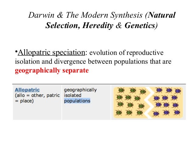 Bio413 07 Sympatric Speciation Species Concepts Allopatric