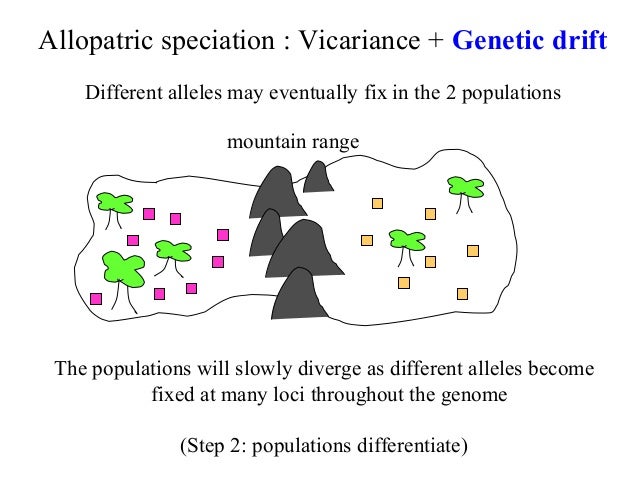 Bio413 07 Sympatric Speciation Species Concepts Allopatric