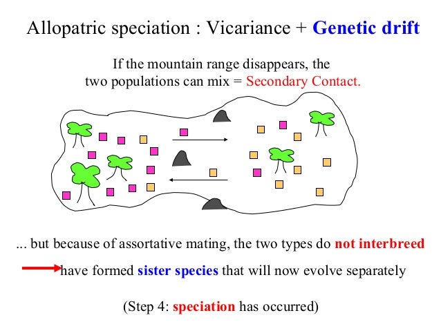 Bio413 07 Sympatric Speciation Species Concepts Allopatric