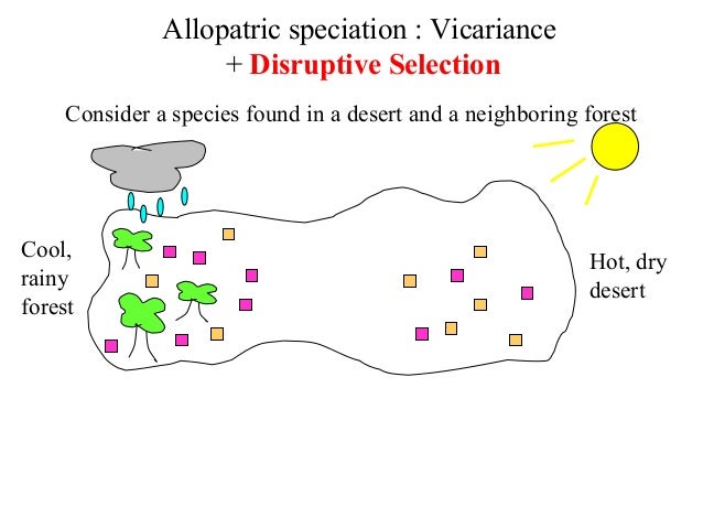 Bio413 07 Sympatric Speciation Species Concepts Allopatric