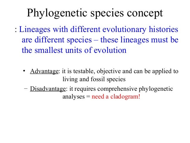 what is the difference between the biological and phylogenetic species concept