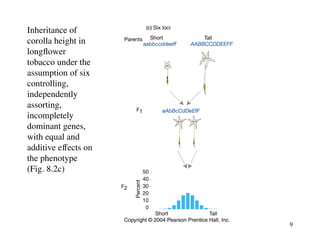 Poly Genes Quantitative inheritance is controlled by multiple genes. Such genes ...
