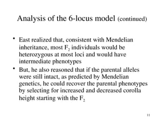 Locus Modelling Quantitative inheritance is controlled by multiple genes. Such genes ...