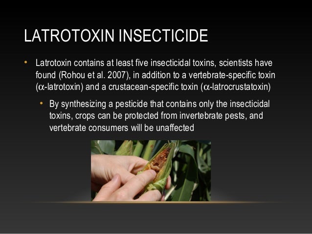 Bio 445 final presentation