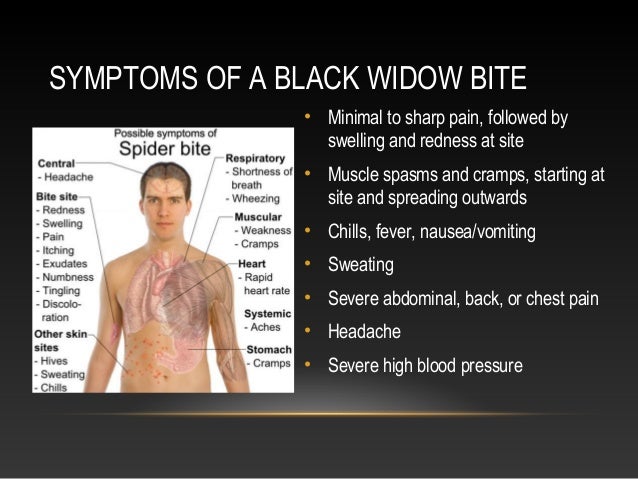 Bio 445 final presentation