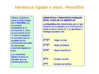 Herdanza ligada o sexo: Hemofilia
 