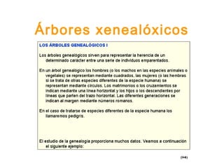 Árbores xenealóxicos
 