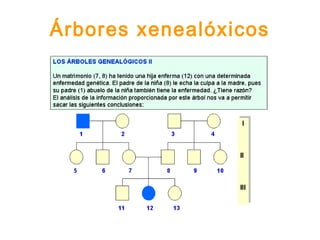 Árbores xenealóxicos
 