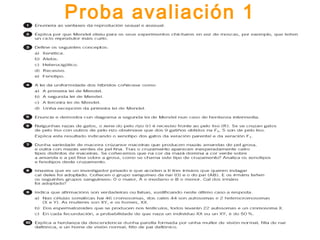 Proba avaliación 1
 