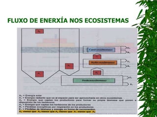 FLUXO DE ENERXÍA NOS ECOSISTEMAS
 