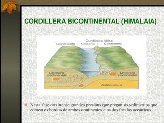 CORDILLERA BICONTINENTAL (HIMALAIA) Nesta fase orixínanse grandes presións que pregan os sedimentos que cobren os bordos de ambos continentes e os dos fondos oceánicos. 