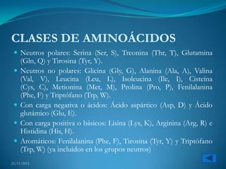CLASES DE AMINOÁCIDOS
  Neutros polares: Serina (Ser, S), Treonina (Thr, T), Glutamina
     (Gln, Q) y Tirosina (Tyr, Y).
    Neutros no polares: Glicina (Gly, G), Alanina (Ala, A), Valina
     (Val, V), Leucina (Leu, L), Isoleucina (Ile, I), Cisteína
     (Cys, C), Metionina (Met, M), Prolina (Pro, P), Fenilalanina
     (Phe, F) y Triptófano (Trp, W).
    Con carga negativa o ácidos: Ácido aspártico (Asp, D) y Ácido
     glutámico (Glu, E).
    Con carga positiva o básicos: Lisina (Lys, K), Arginina (Arg, R) e
     Histidina (His, H).
    Aromáticos: Fenilalanina (Phe, F), Tirosina (Tyr, Y) y Triptófano
     (Trp, W) (ya incluidos en los grupos neutros)
21/11/2012
 
