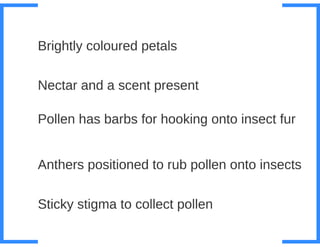 Key Stage 3 Plant reproduction