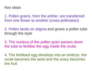 Key Stage 3 Plant reproduction