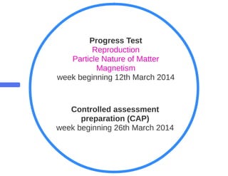 Key Stage 3 Plant reproduction