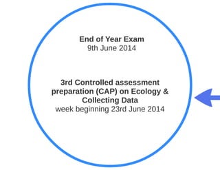 Key Stage 3 Plant reproduction