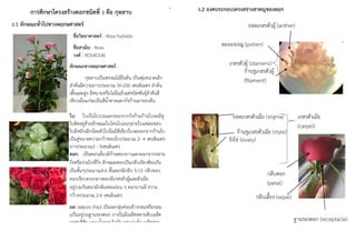 การศึกษาโครงสร้างดอกชนิดที่ 3 คือ กุหลาบ
3.1 ลักษณะทั่วไปทางพฤกษศาสตร์
ชื่อวิทยาศาสตร์ : Rosa hybrida
ชื่อสามัญ : Rose
วงศ์ : ROSACEAE
ลักษณะทางพฤกษศาสตร์ :
กุหลาบเป็นพรรณไม้ยืนต้น เป็นพุ่มขนาดเล็ก
ลำต้นมีความยาวประมาณ 30-200 เซนติเมตร ลำต้น
เตี้ยและสูง มีหนามหรือไม่มีแล้วแต่ชนิดพันธุ์ลำต้นสี
เขียวเมื่อแก่จะเป็นสีน้ำตาลแตกกิ่งก้านมารอบต้น
ใบ: ใบเป็นใบรวมแตกออกจากกิ่งก้านก้านใบจะมีหู
ใบติดอยู่ด้วยลักษณะใบโคนใบมนปลายใบแหลมขอบ
ใบมีหยักเล็กน้อยตัวใบนิ่มมีสีเขียวใบจะออกจากก้านใบ
เป็นคู่ขนาดความกว้างของใบประมาณ 2- 4 เซนติเมตร
ยาวประมาณ3 - 5เซนติเมตร
ดอก: เป็นดอกเดี่ยวมีก้านดอกยาวแตกออกจากปลาย
กิ่งหรือง่ามใบที่กิ่ง ลักษณะดอกเป็นกลีบเรียงซ้อนกัน
เป็นชั้นๆประมาณ4-6 ชั้นดอกมีกลีบ 5-15 กลีบขอบ
ดอกเรียบตรงกลางดอกมีเกสรตัวผู้และตัวเมีย
อยู่รวมกันดอกมีกลิ่นหอมอ่อน ๆ ดอกบานมี ความ
กว้างประมาณ 2-6 เซนติเมตร
ผล: ผลแบบ (hip) เป็นผลกลุ่มค่อนข้างกลมหรือกลม
แป้นอยู่บนฐานรองดอก ภายในมีเมล็ดหลายสิบเมล็ด
ผลสุกสีส้ม แดง น้ำตาล ผิวมัน ผลแก่แห้ง เมล็ดล่อน
เกสรตัวผู้ (stamens)
ละอองเรณู (pollen)
ยอดเกสรตัวผู้ (anther)
ก้านชูเกสรตัวผู้
(filament)
3.2 องค์ประกอบโครงสร้างสำคัญของดอก
ยอดเกสรตัวเมีย (stigma)
ก้านชูเกสรตัวเมีย (style)
รังไข่ (ovary)
เกสรตัวเมีย
(carpel)
กลีบเลี้ยง (sepal)
ฐานรองดอก (receptacle)
กลีบดอก
(petal)
7	 8	
 