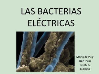 LAS BACTERIAS
 ELÉCTRICAS


           Marta de Puig
            Don Iñaki
             4 ESO A
             Biología
 