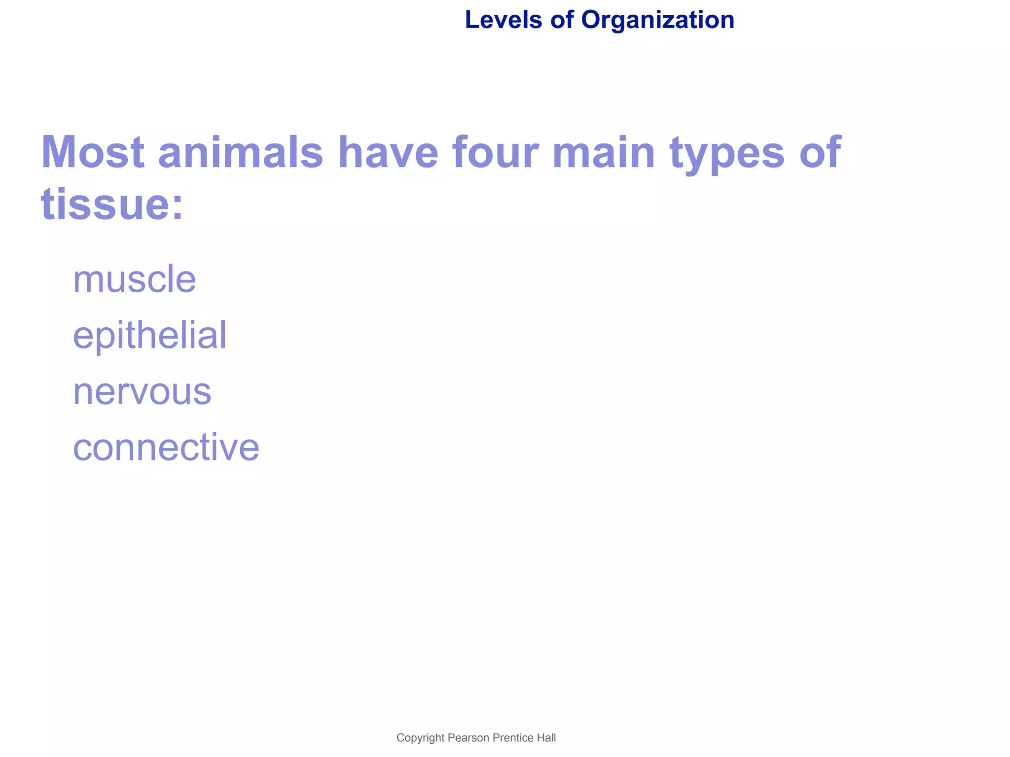 Levels of Organization 
Most animals have four main types of 
tissue: 
muscle 
epithelial 
nervous 
connective 
Copyright Pearson Prentice Hall 
 