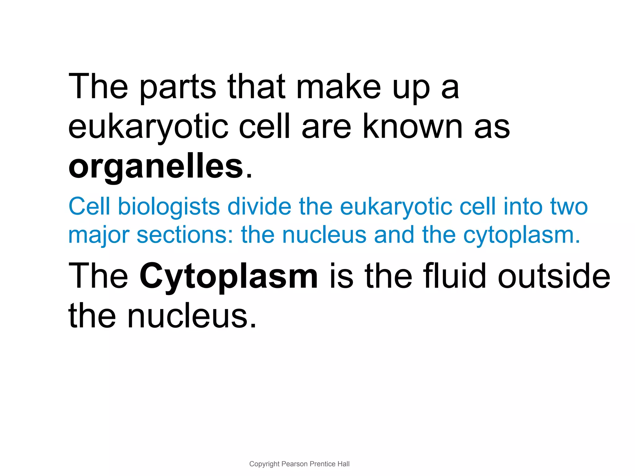 The parts that make up a 
eukaryotic cell are known as 
organelles. 
Cell biologists divide the eukaryotic cell into two 
major sections: the nucleus and the cytoplasm. 
The Cytoplasm is the fluid outside 
the nucleus. 
Copyright Pearson Prentice Hall 
 