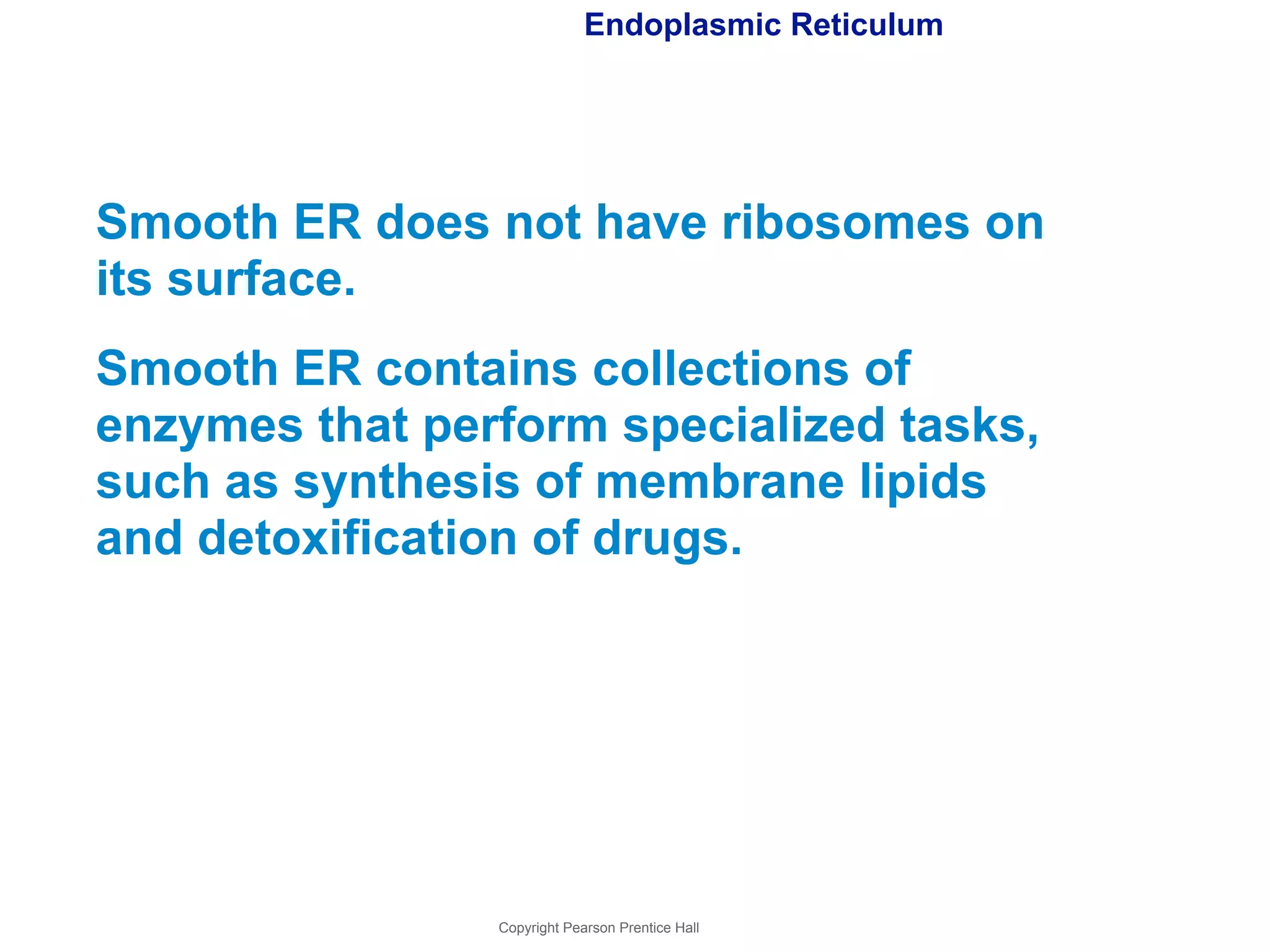 Endoplasmic Reticulum 
Smooth ER does not have ribosomes on 
its surface. 
Smooth ER contains collections of 
enzymes that perform specialized tasks, 
such as synthesis of membrane lipids 
and detoxification of drugs. 
Copyright Pearson Prentice Hall 
 
