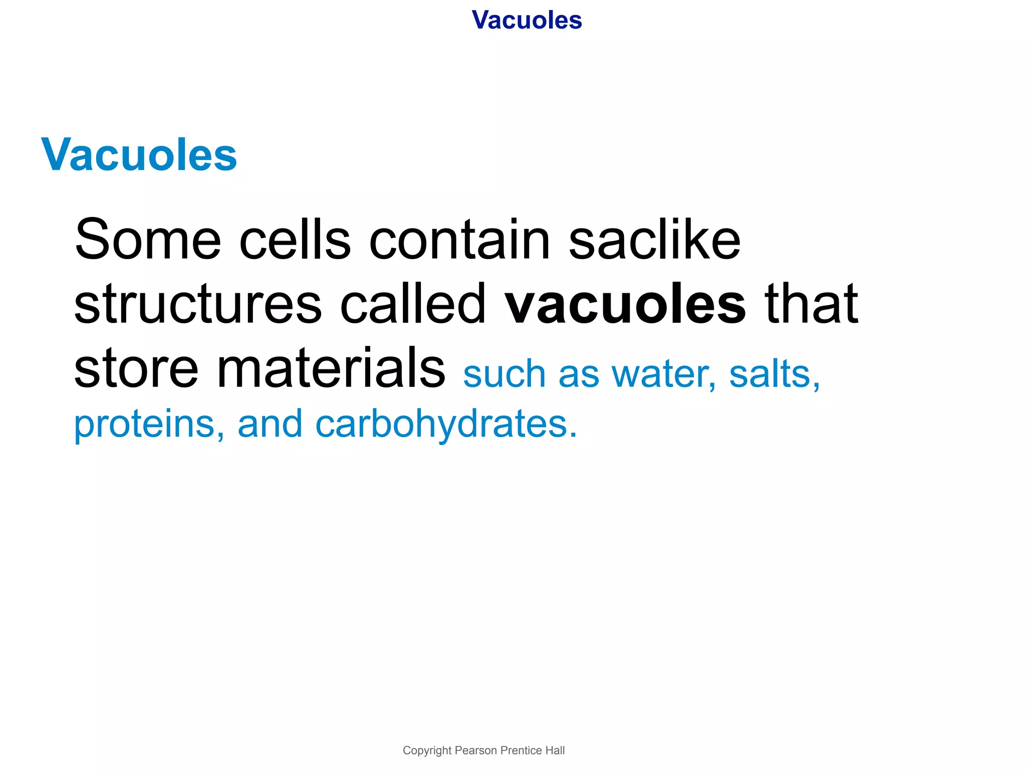 Vacuoles 
Vacuoles 
Some cells contain saclike 
structures called vacuoles that 
store materials such as water, salts, 
proteins, and carbohydrates. 
Copyright Pearson Prentice Hall 
 