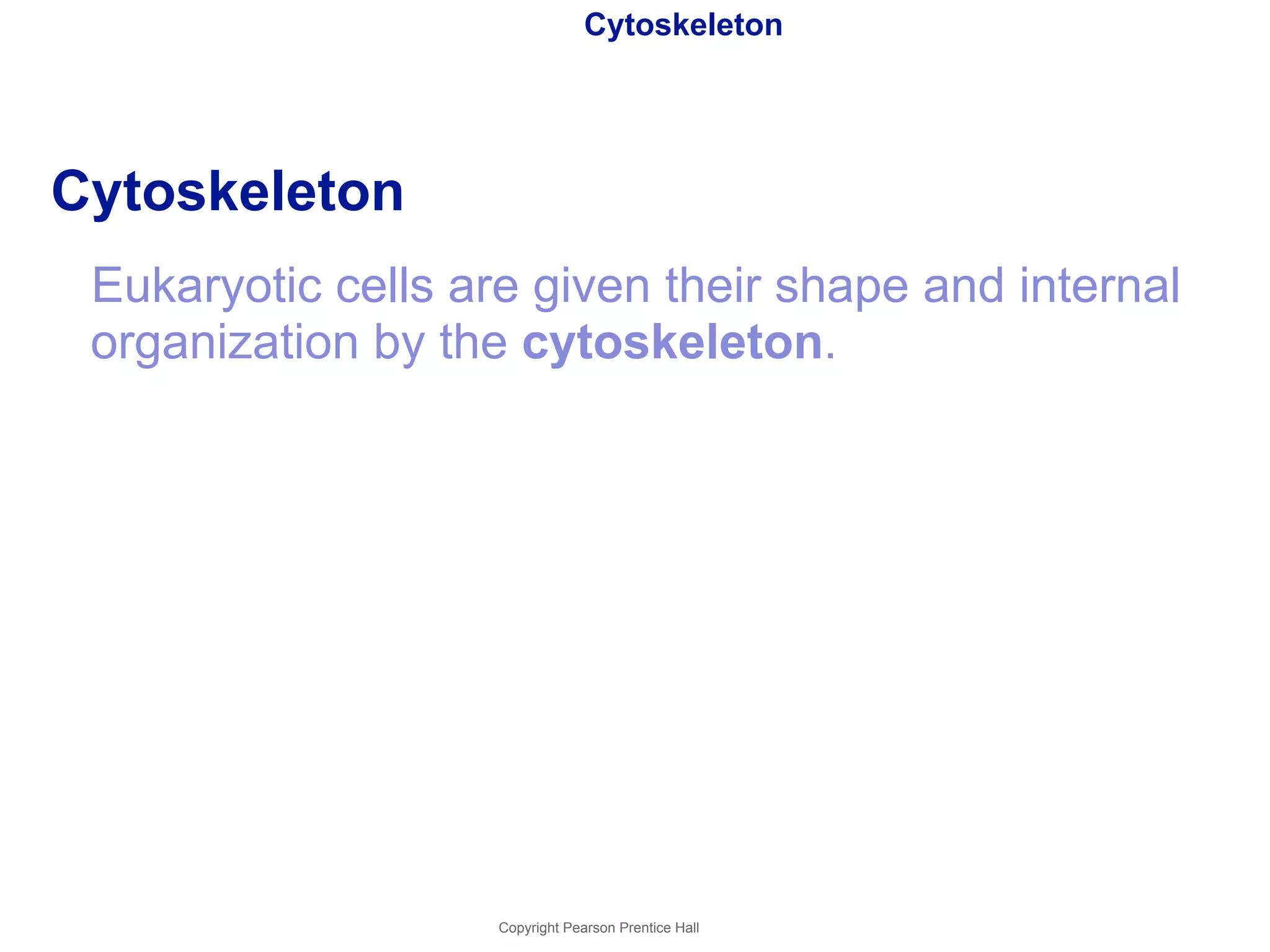 Cytoskeleton 
Cytoskeleton 
Eukaryotic cells are given their shape and internal 
organization by the cytoskeleton. 
Copyright Pearson Prentice Hall 
 
