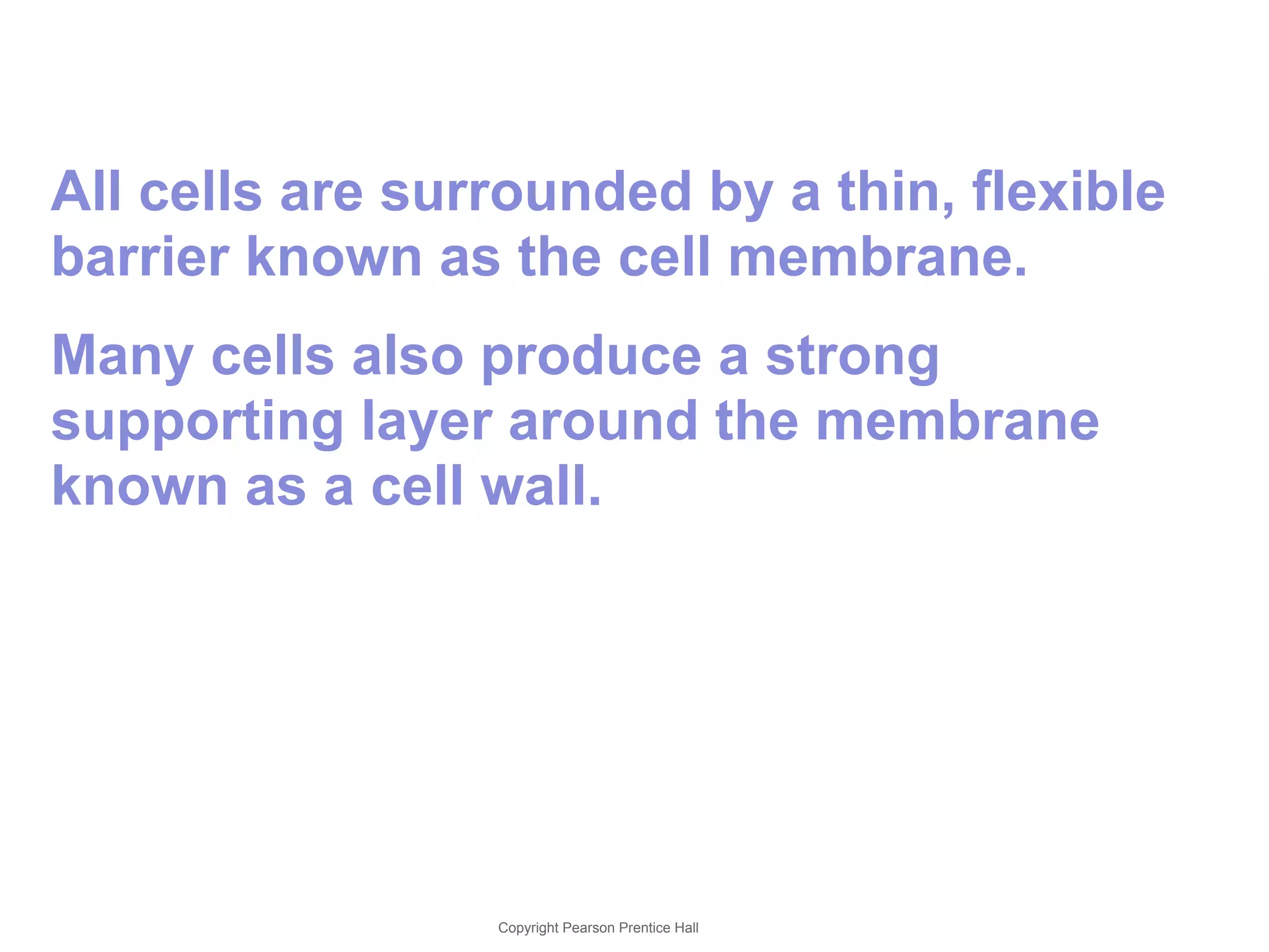 7-3 Cell Boundaries 
All cells are surrounded by a thin, flexible 
barrier known as the cell membrane. 
Many cells also produce a strong 
supporting layer around the membrane 
known as a cell wall. 
Copyright Pearson Prentice Hall 
 