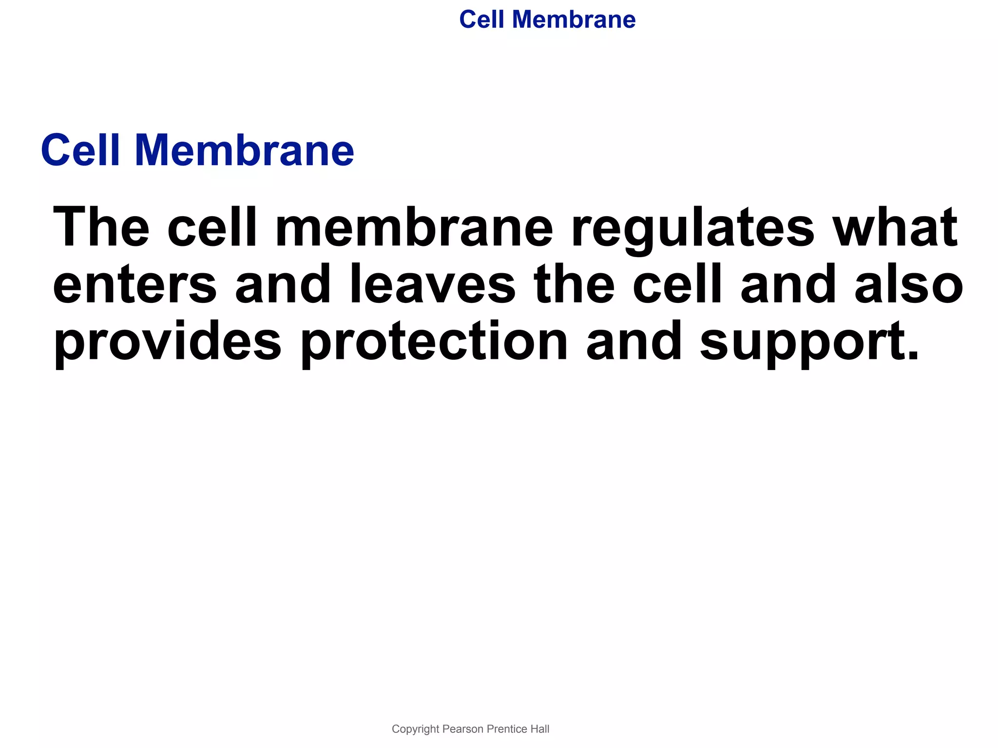 Cell Membrane 
Cell Membrane 
The cell membrane regulates what 
enters and leaves the cell and also 
provides protection and support. 
Copyright Pearson Prentice Hall 
 