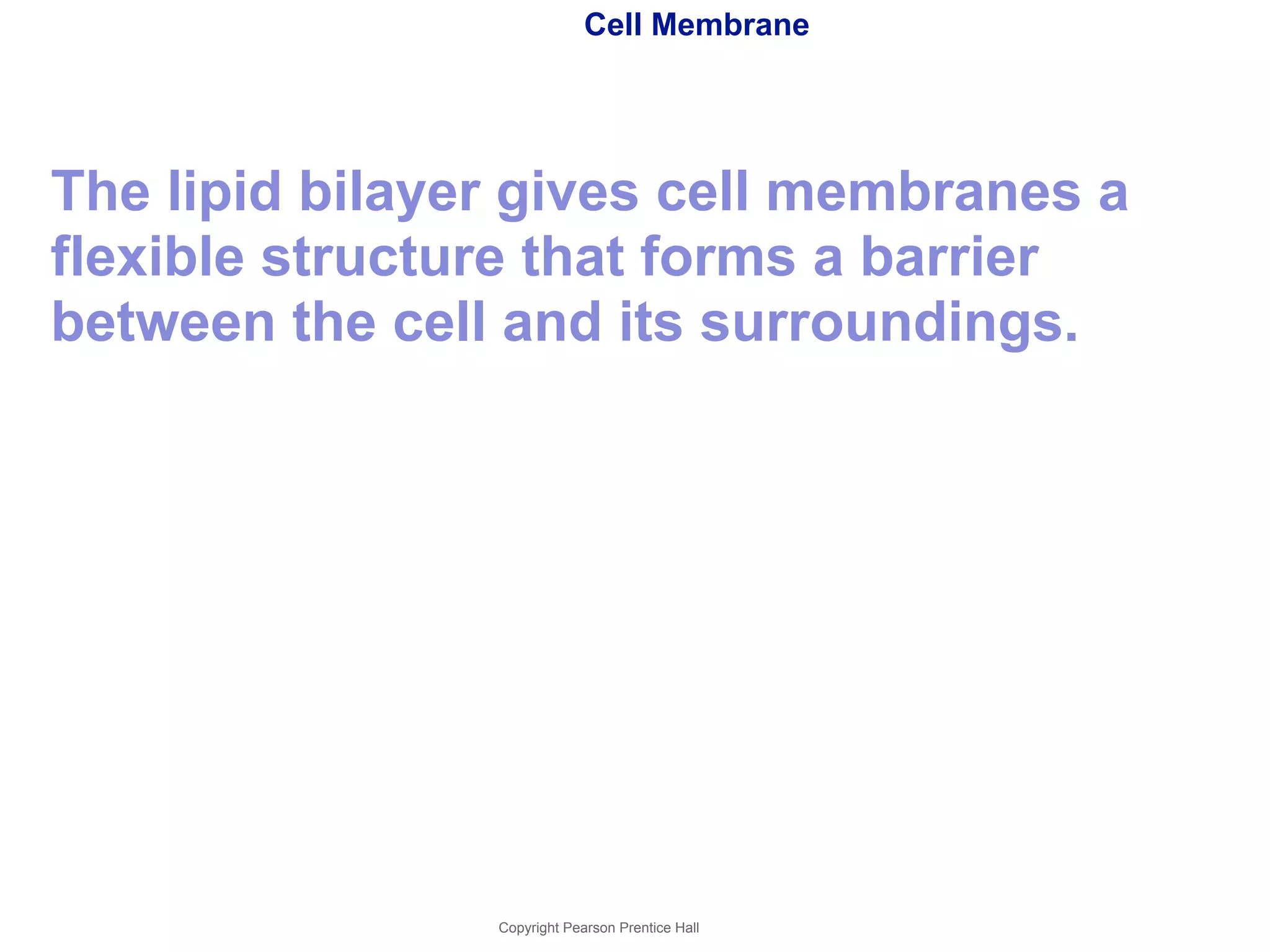 Cell Membrane 
The lipid bilayer gives cell membranes a 
flexible structure that forms a barrier 
between the cell and its surroundings. 
Copyright Pearson Prentice Hall 
 