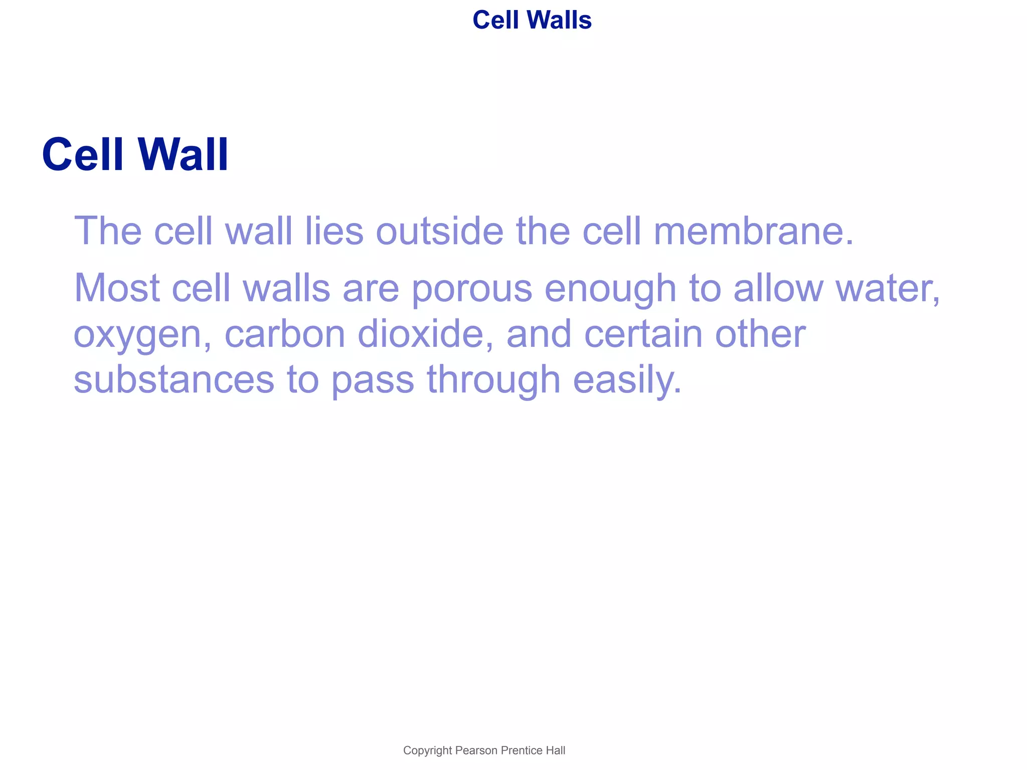 Cell Walls 
Cell Wall 
The cell wall lies outside the cell membrane. 
Most cell walls are porous enough to allow water, 
oxygen, carbon dioxide, and certain other 
substances to pass through easily. 
Copyright Pearson Prentice Hall 
 