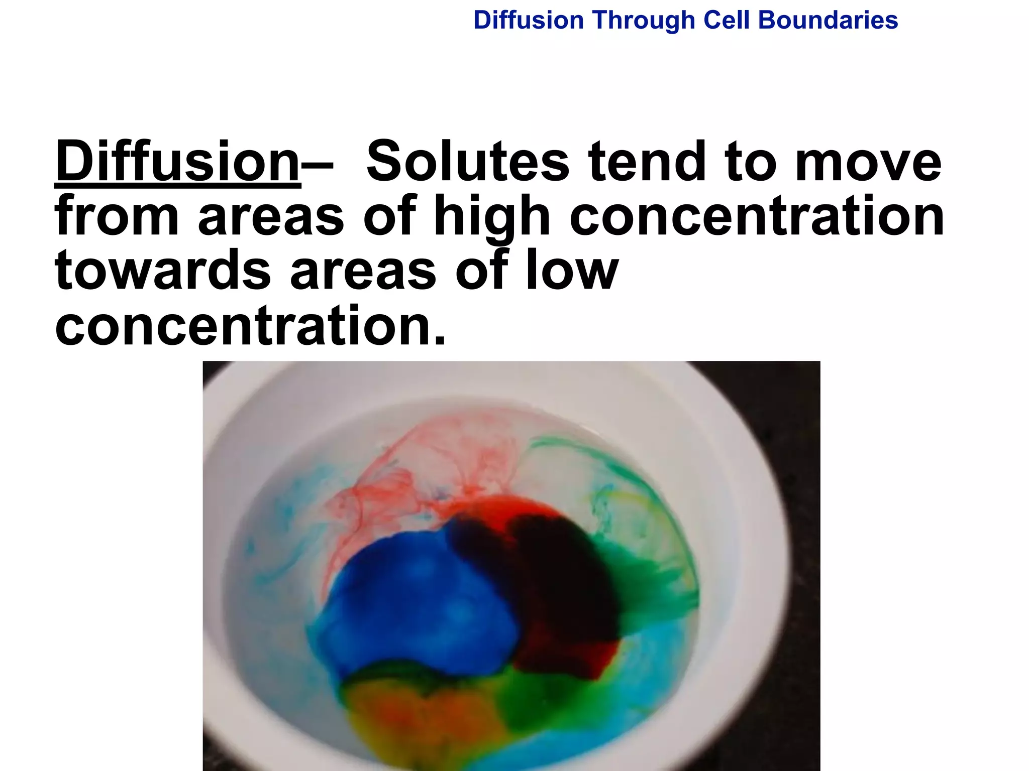 Diffusion Through Cell Boundaries 
Diffusion– Solutes tend to move 
from areas of high concentration 
towards areas of low 
concentration. 
Copyright Pearson Prentice Hall 
 