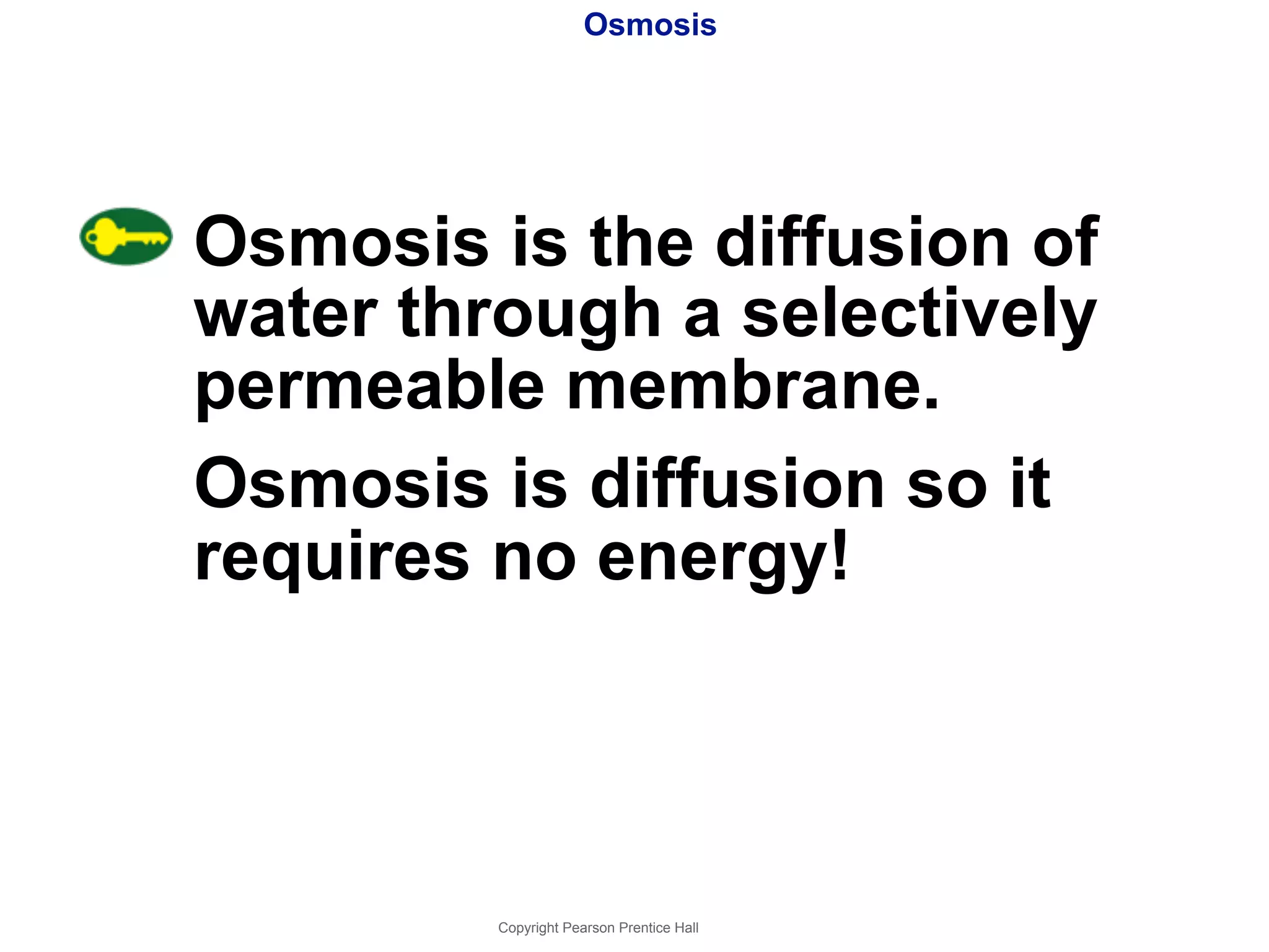 Osmosis 
Osmosis is the diffusion of 
water through a selectively 
permeable membrane. 
Osmosis is diffusion so it 
requires no energy! 
Copyright Pearson Prentice Hall 
 