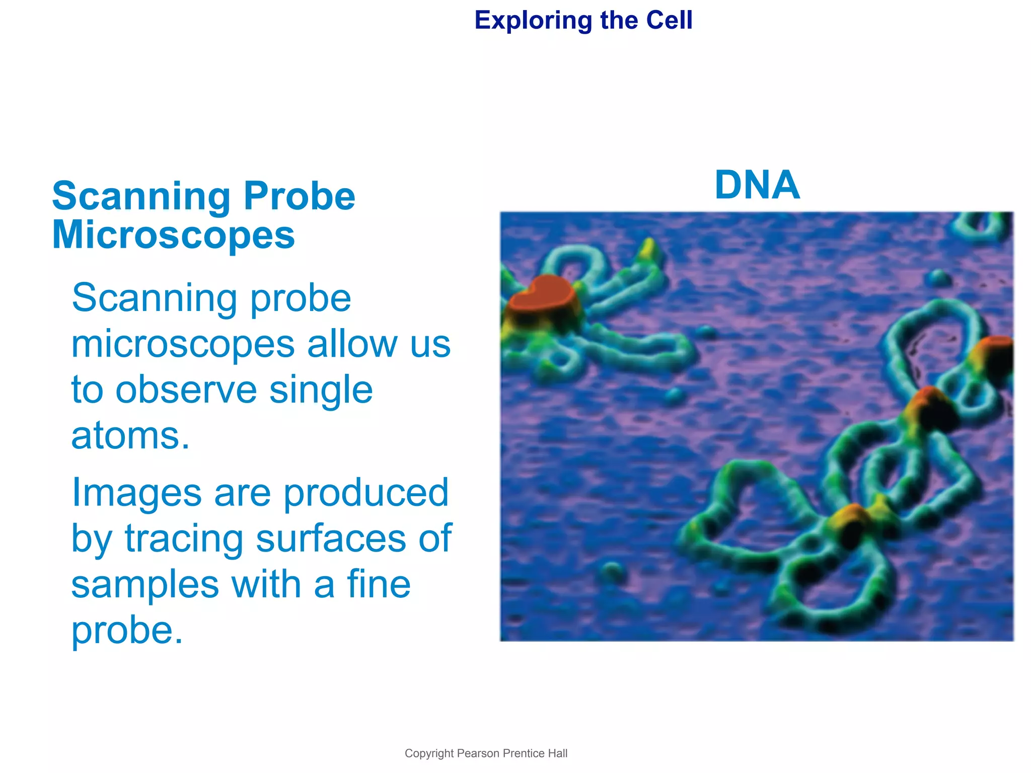 Exploring the Cell 
Scanning Probe 
Microscopes 
Scanning probe 
microscopes allow us 
to observe single 
atoms. 
Images are produced 
by tracing surfaces of 
samples with a fine 
probe. 
Copyright Pearson Prentice Hall 
DNA 
 