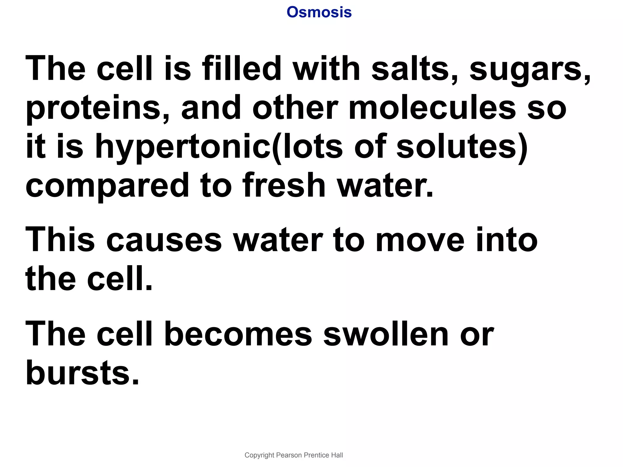 Osmosis 
The cell is filled with salts, sugars, 
proteins, and other molecules so 
it is hypertonic(lots of solutes) 
compared to fresh water. 
This causes water to move into 
the cell. 
The cell becomes swollen or 
bursts. 
Copyright Pearson Prentice Hall 
 