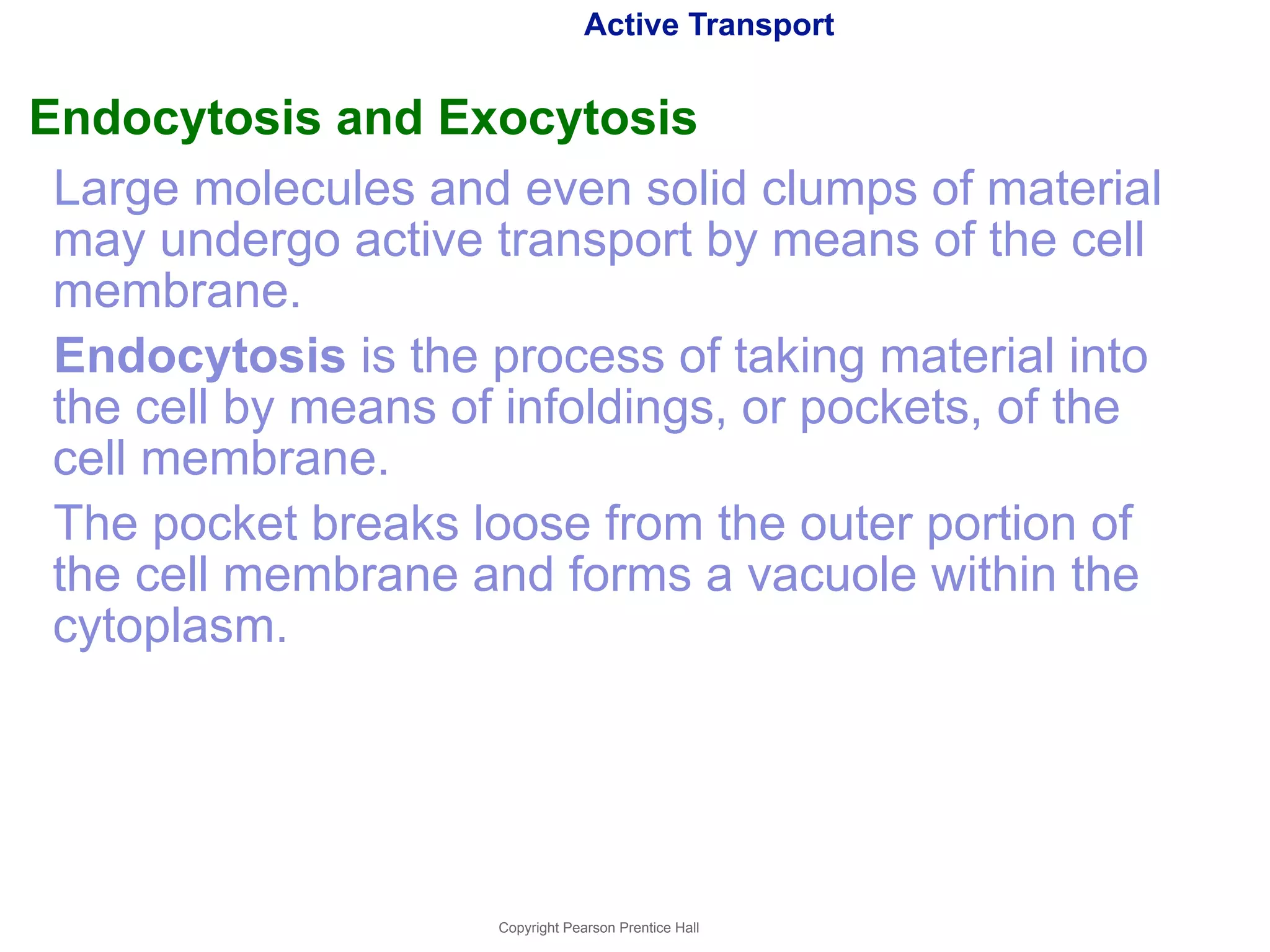 Active Transport 
Endocytosis and Exocytosis 
Large molecules and even solid clumps of material 
may undergo active transport by means of the cell 
membrane. 
Endocytosis is the process of taking material into 
the cell by means of infoldings, or pockets, of the 
cell membrane. 
The pocket breaks loose from the outer portion of 
the cell membrane and forms a vacuole within the 
cytoplasm. 
Copyright Pearson Prentice Hall 
 